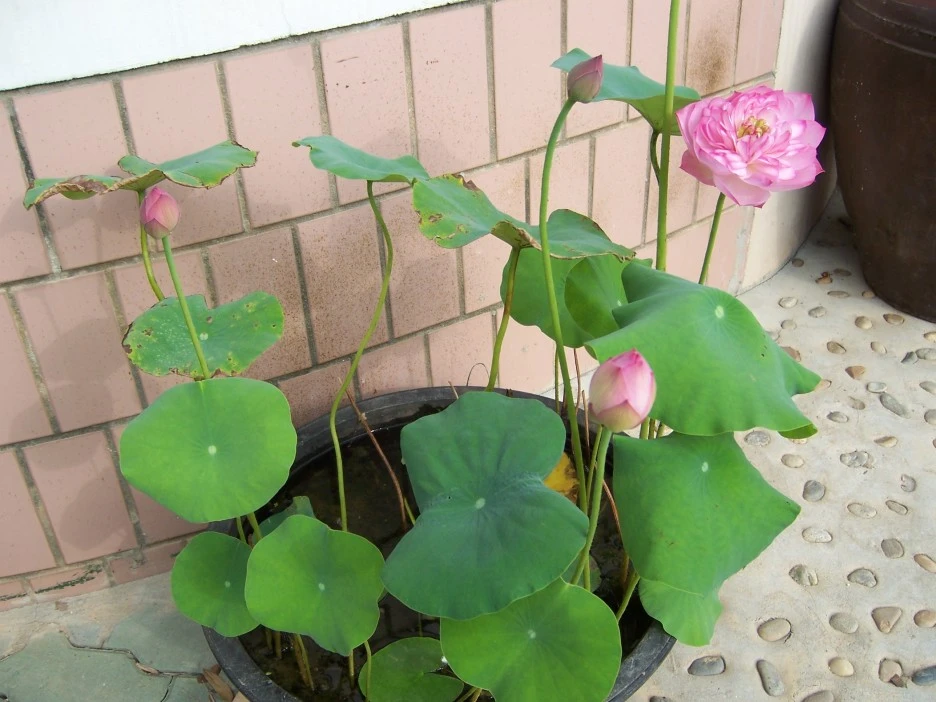 100_7058.jpg?type=w1