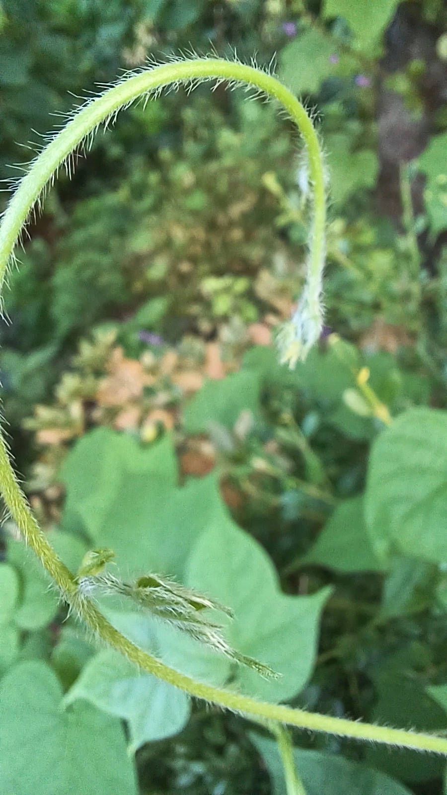 20220816%EF%BC%BF162342.jpg?type=w1