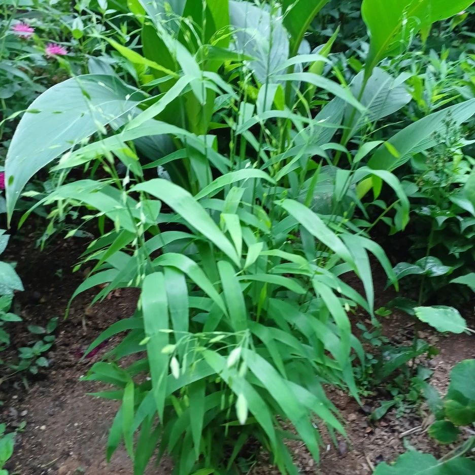 20220619_172756.jpg?type=w1