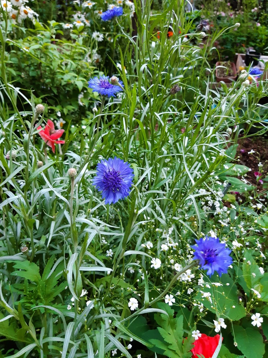 20200517_191919.jpg?type=w1