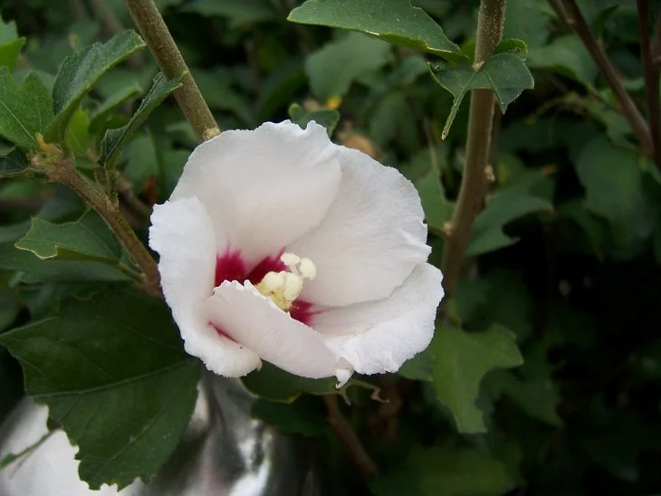 result_2006_8_5_10_53_32_312_23-lysook7.jpg?type=w1