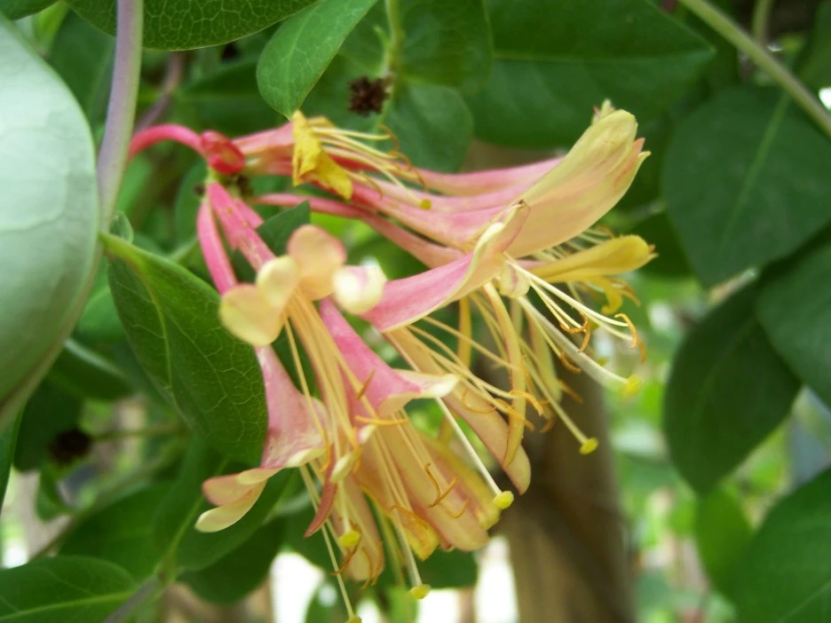 %EC%9D%B8%EB%8F%99%EC%B4%887.jpg?type=w1