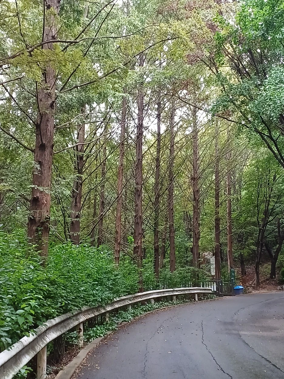 20220829_131211.jpg?type=w1