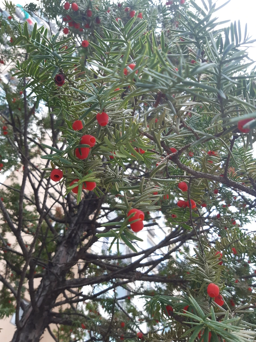 20211010%EF%BC%BF095600.jpg?type=w1