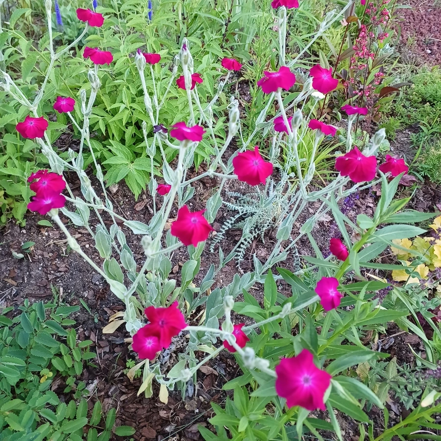 20220527%EF%BC%BF183651.jpg?type=w1