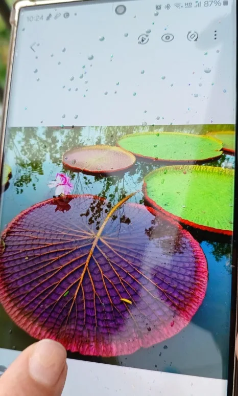 SE-351bfbf0-d37d-4c0f-b652-84d3d0b87175.jpg?type=w466