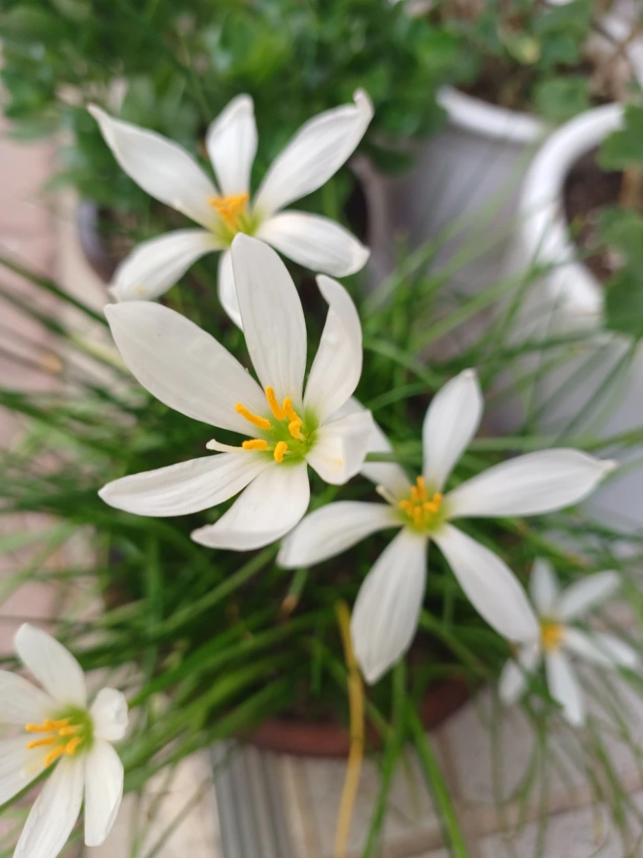 20220920_125233.jpg?type=w1