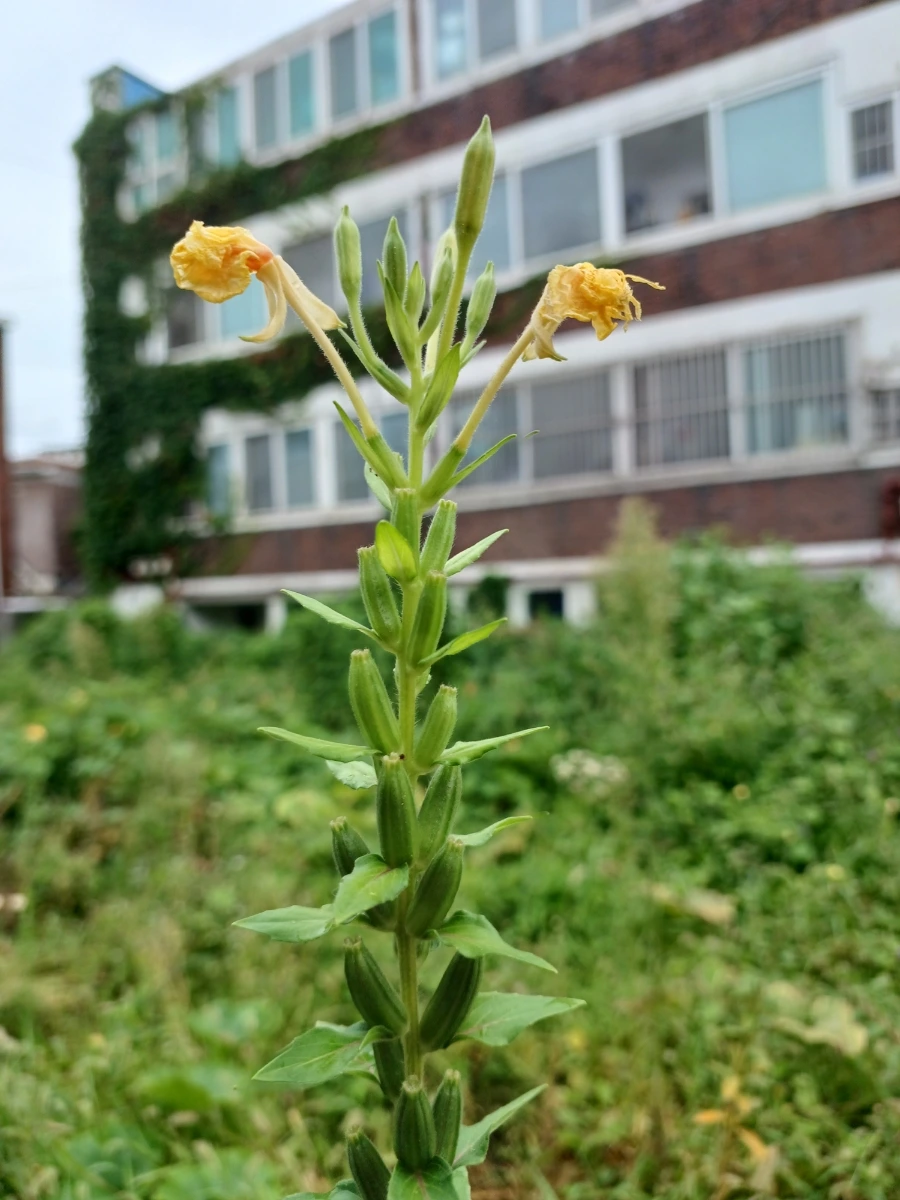 20220829%EF%BC%BF140147.jpg?type=w1