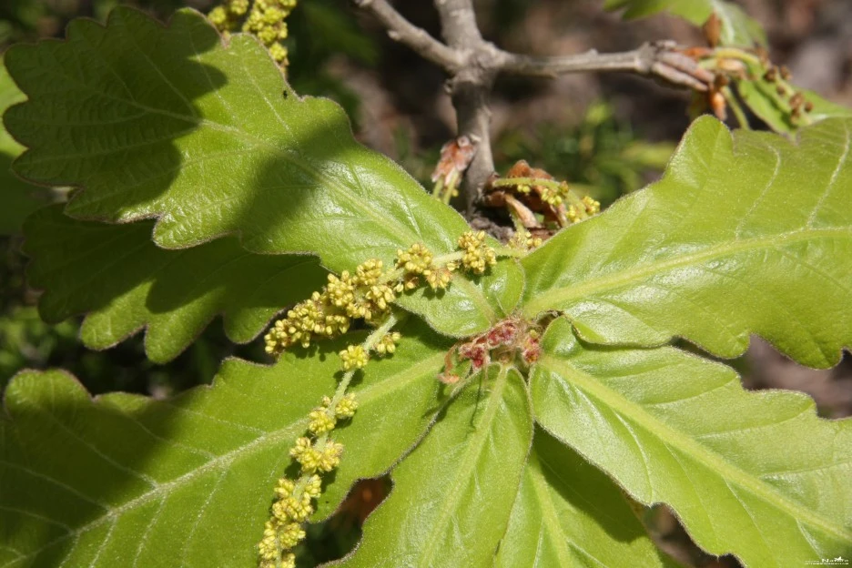 ib58_1413_i5.jpg?type=w1