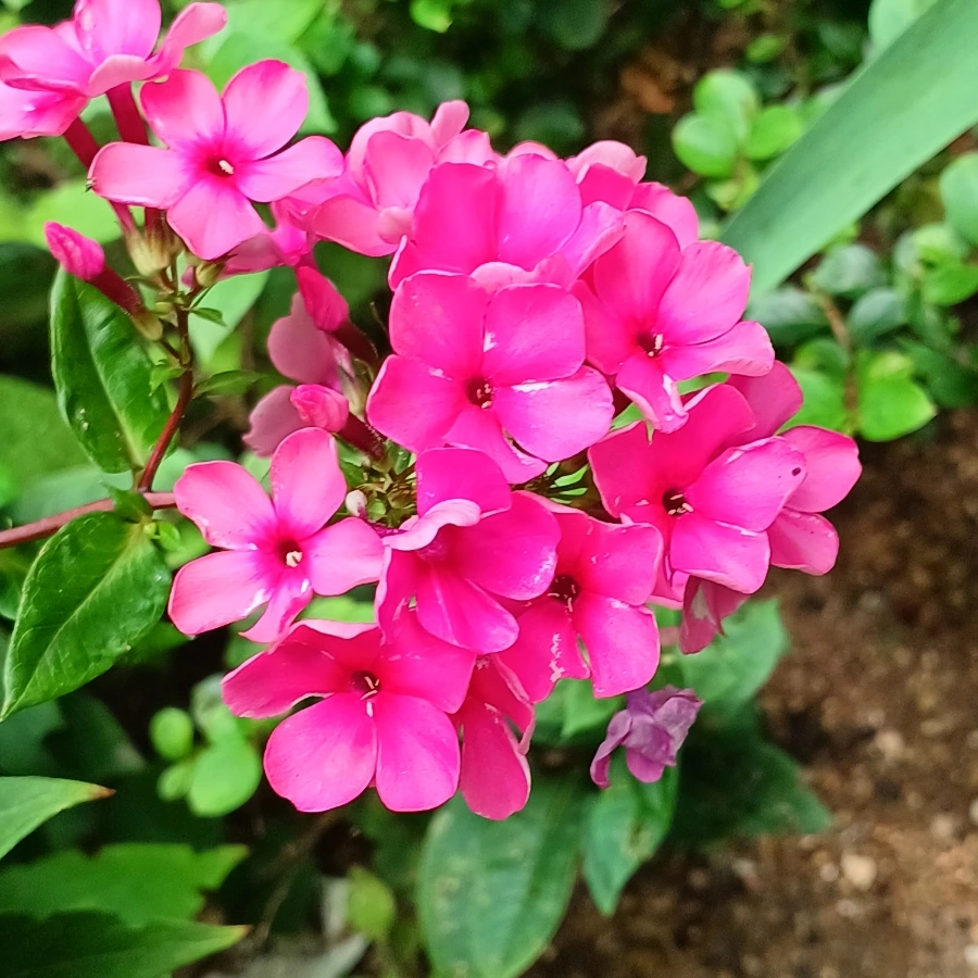 20220705%EF%BC%BF123044.jpg?type=w1