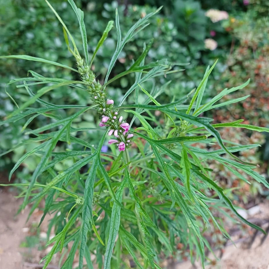 20220623_060021.jpg?type=w1