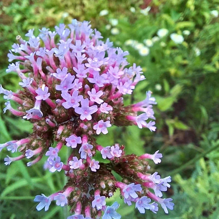 20220629%EF%BC%BF183848.jpg?type=w1