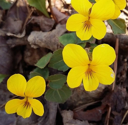 %EC%9B%B9_%EC%BA%A1%EC%B2%98_6-1-2023_11534_cafe.naver.com.jpeg?typew1