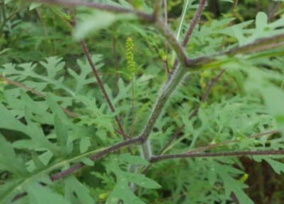 %EC%9B%B9_%EC%BA%A1%EC%B2%98_4-12-2022_17194_blog.naver.com.jpeg?type=w1