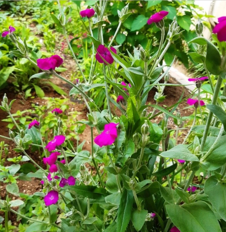 %EC%9B%B9_%EC%BA%A1%EC%B2%98_24-2-2022_83855_blog.naver.com.jpeg?type=w1