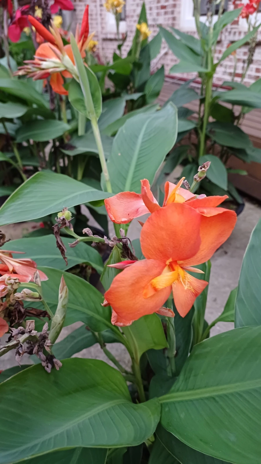 20220817%EF%BC%BF192428.jpg?type=w1