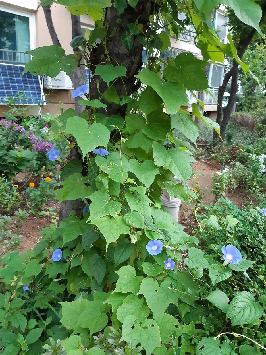 20200831_064334.jpg?type=w1