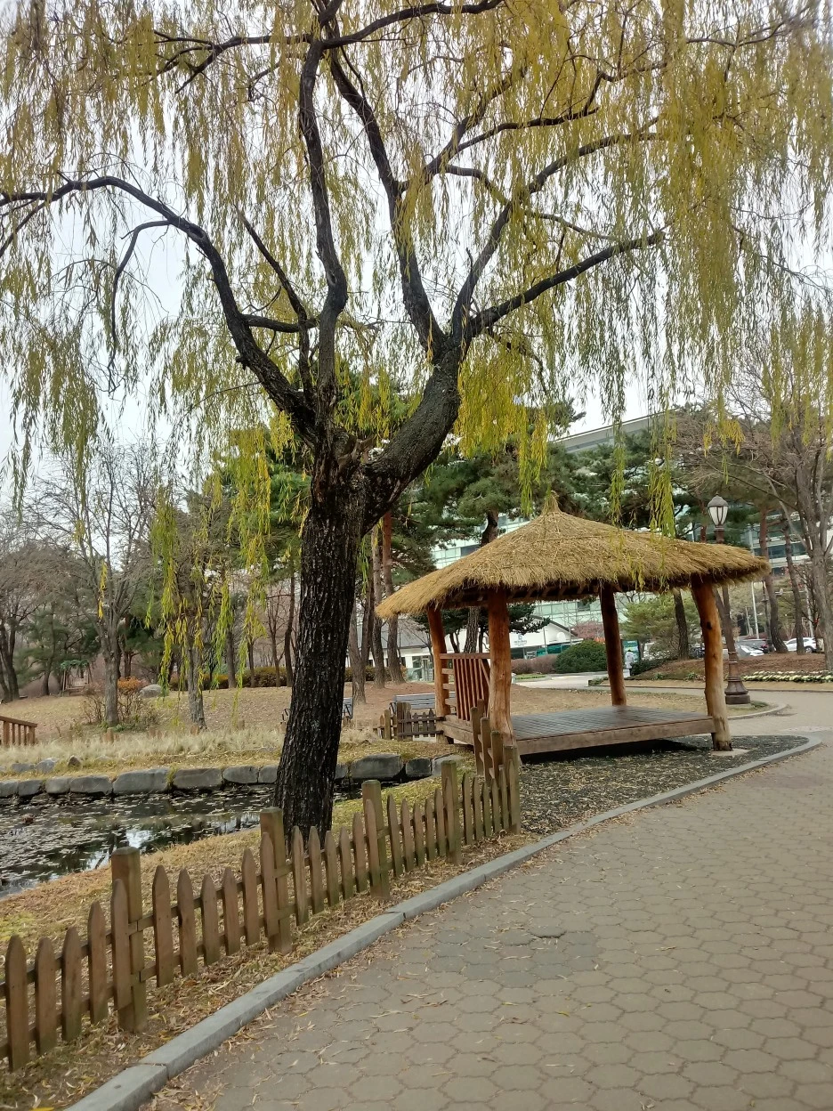 20181202_092911_HDR.jpg?type=w1