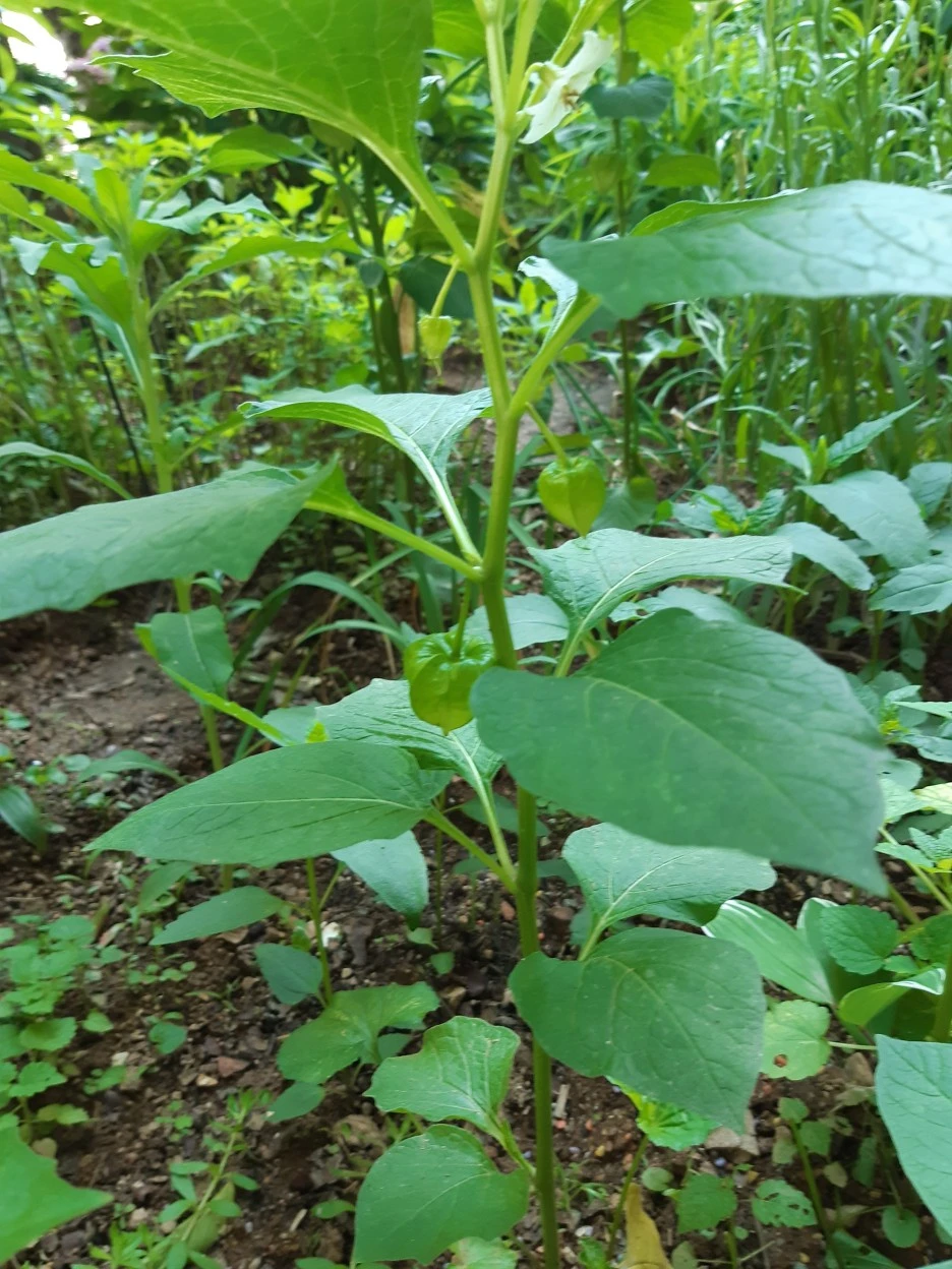 20210604_153144.jpg?type=w1