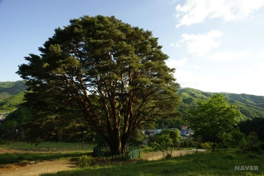 AC%EB%AC%B4%EC%A3%BC_%EC%82%BC%EA%B3%B5%EB%A6%AC_%EB%B0%98%EC%86%A1(%EC%B2%9C%EC%97%B0%EA%B8%B0%EB%85%90%EB%AC%BC_%EC%A0%9C291%ED%98%B8)_(%EC%B6%9C%EC%B2%98_GettyimagesKorea).jpg?typew1