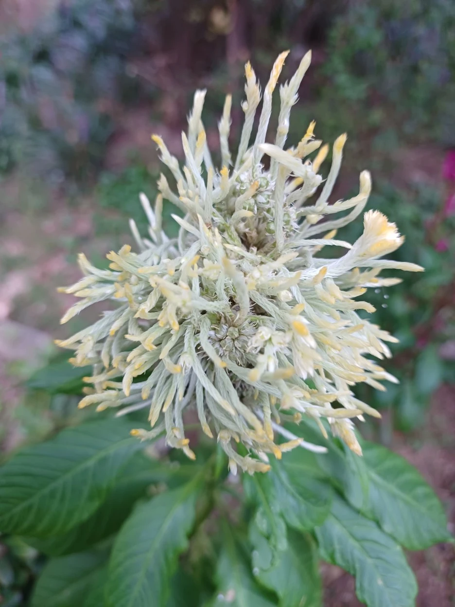 20220910_065132.jpg?type=w1