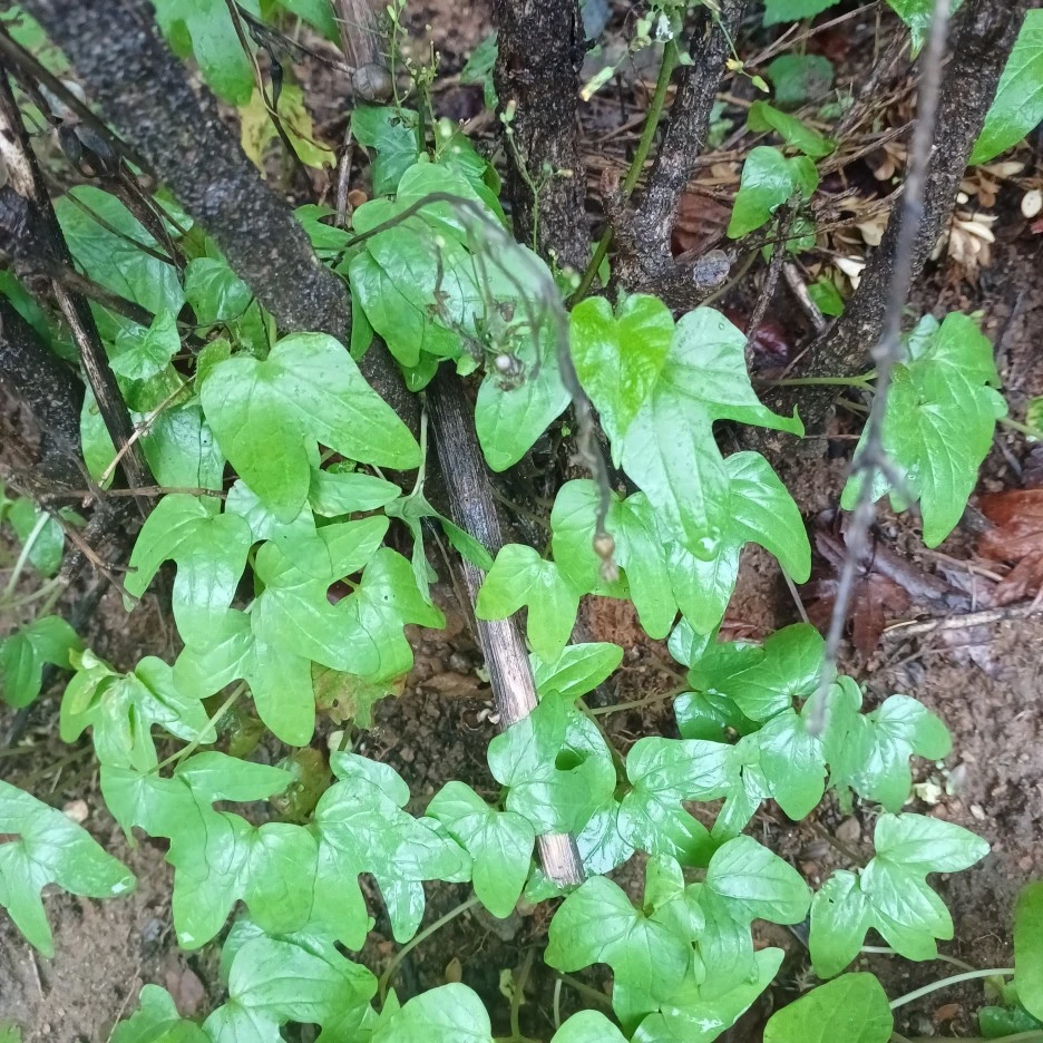 20220630_150000.jpg?type=w1