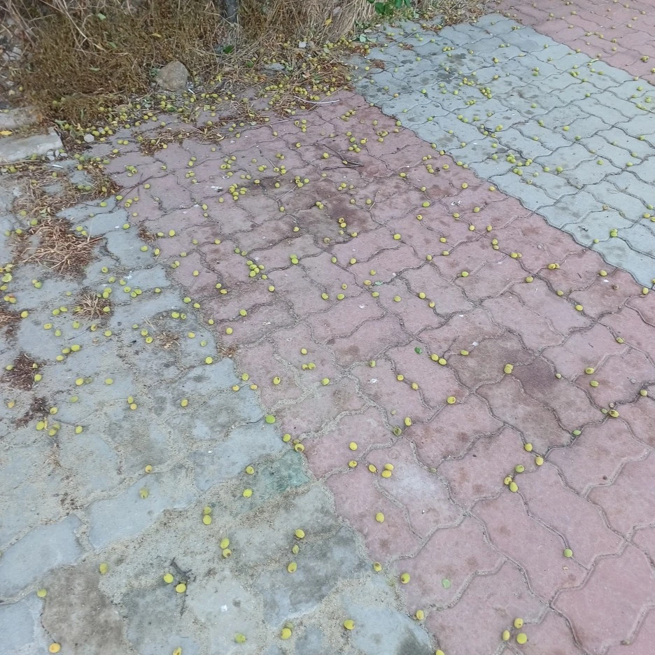 20220514_074845.jpg?type=w1