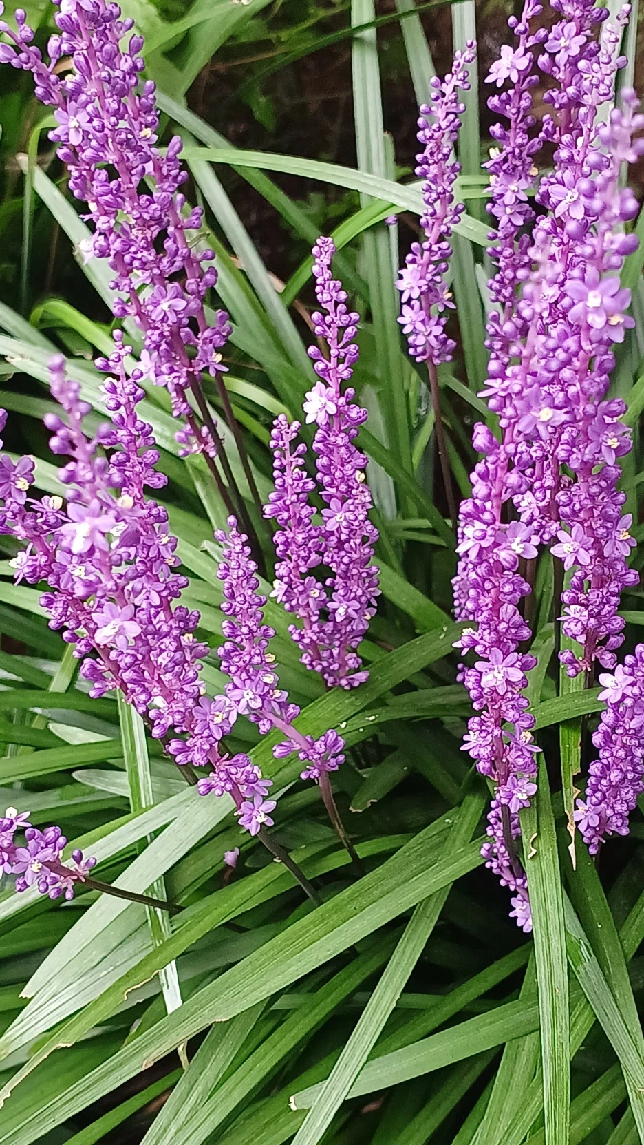 20220813_163043.jpg?type=w1