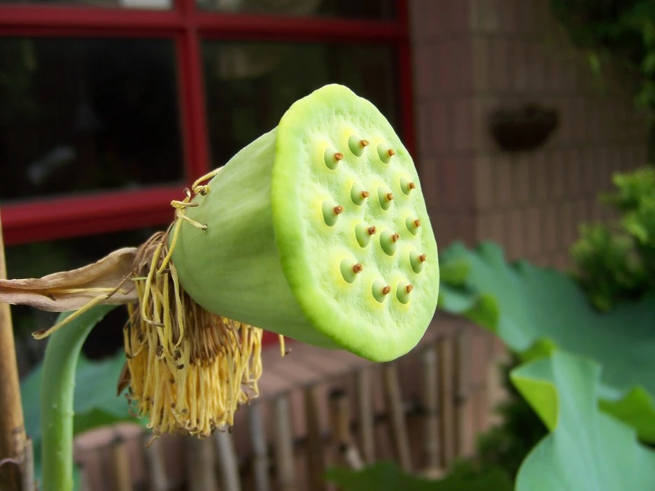 100_7072.jpg?type=w1