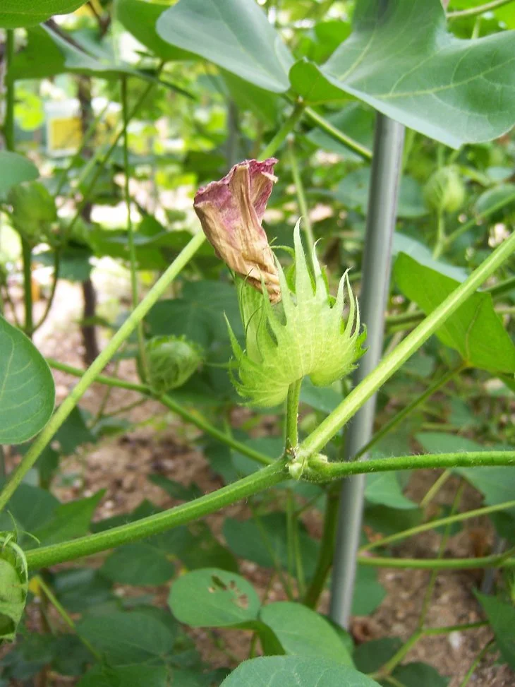 result_2006_8_1_16_54_0_171_28-lysook7.jpg?typew1