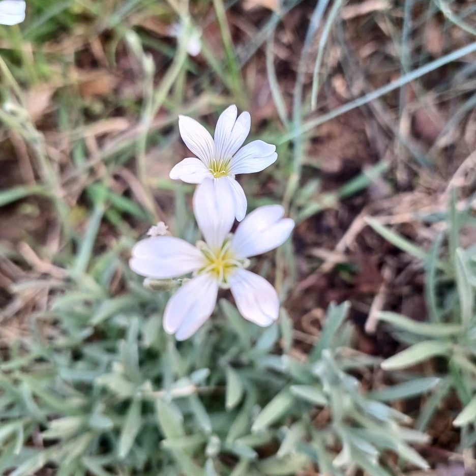 20220520_184817.jpg?type=w1