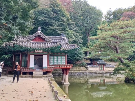 20241027_130134.jpg?type=w466