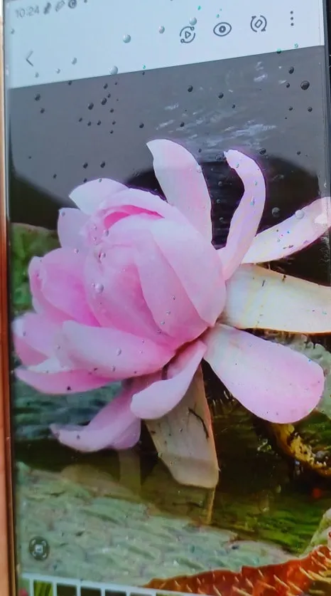 SE-a52a96ec-8800-494e-9589-9050c0de9cb3.jpg?type=w466