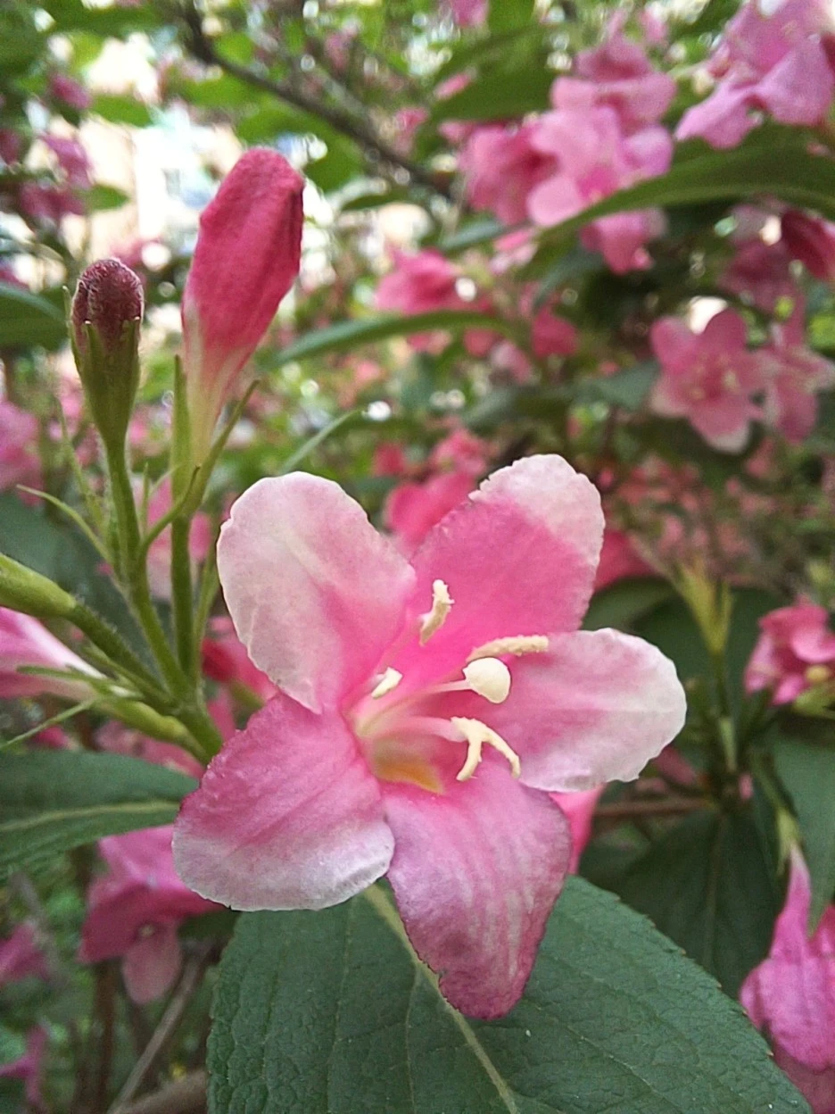 20230507%EF%BC%BF172401.jpg?type=w1