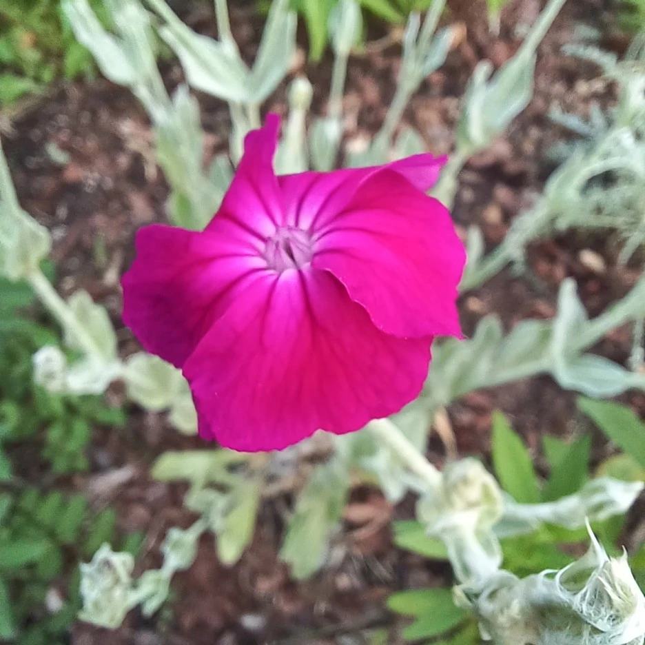 20220520_183833.jpg?type=w1