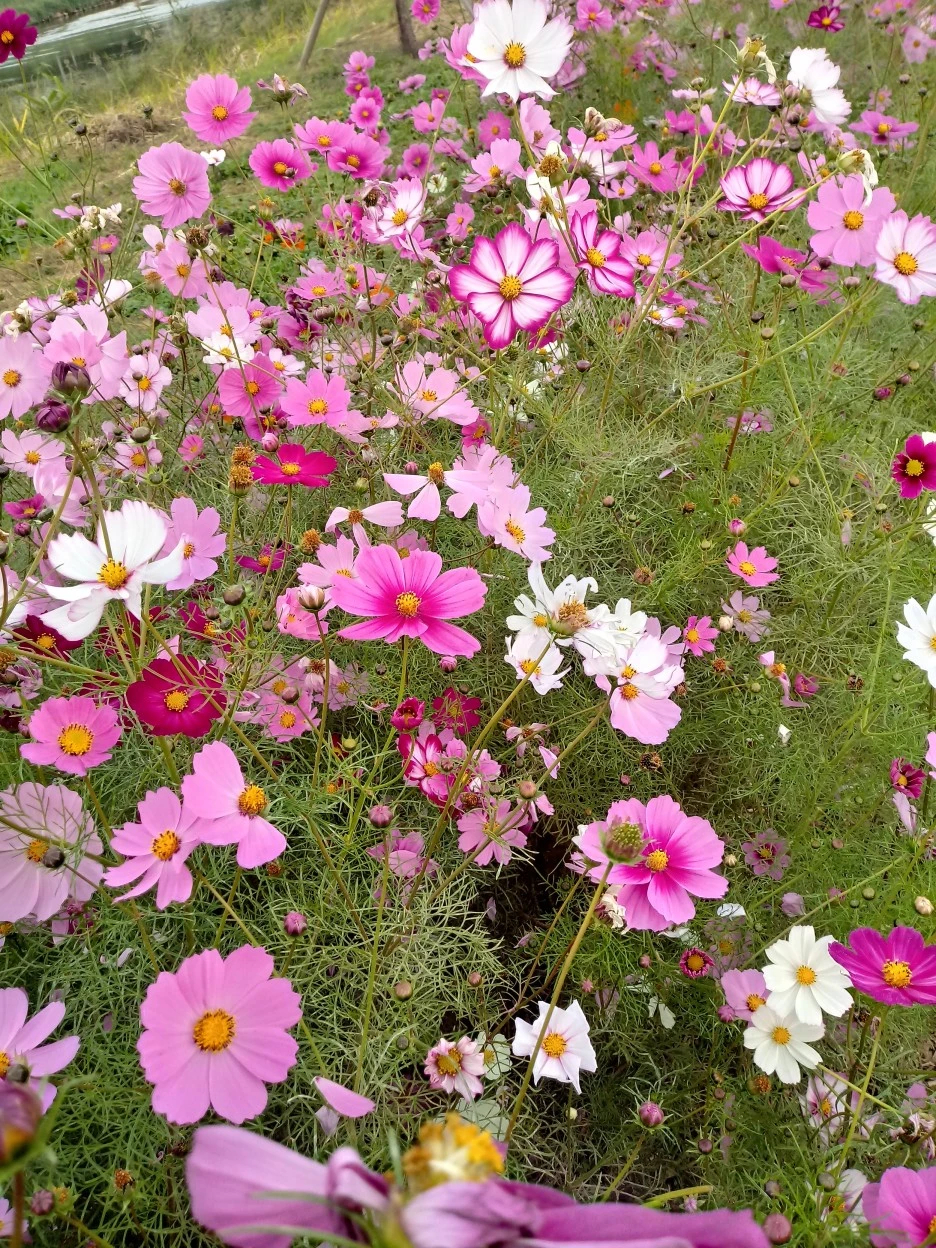 20181018_105429_HDR.jpg?type=w1