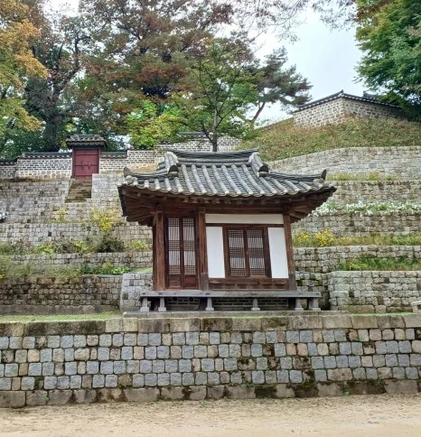 SE-1b48ab63-1a1b-46f0-af90-766a1957972d.jpg?type=w466