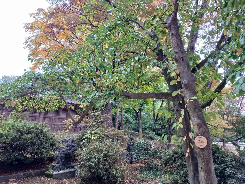 20241027_131605.jpg?type=w966