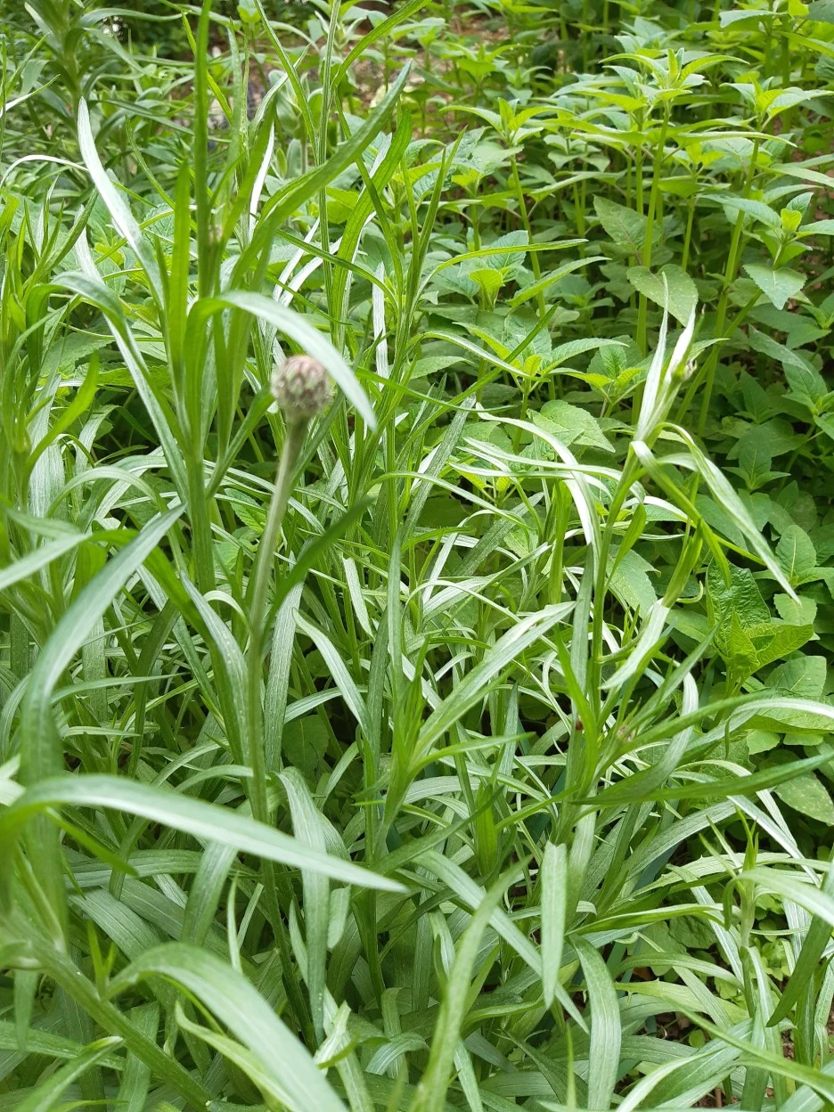 20210426_112735.jpg?type=w1