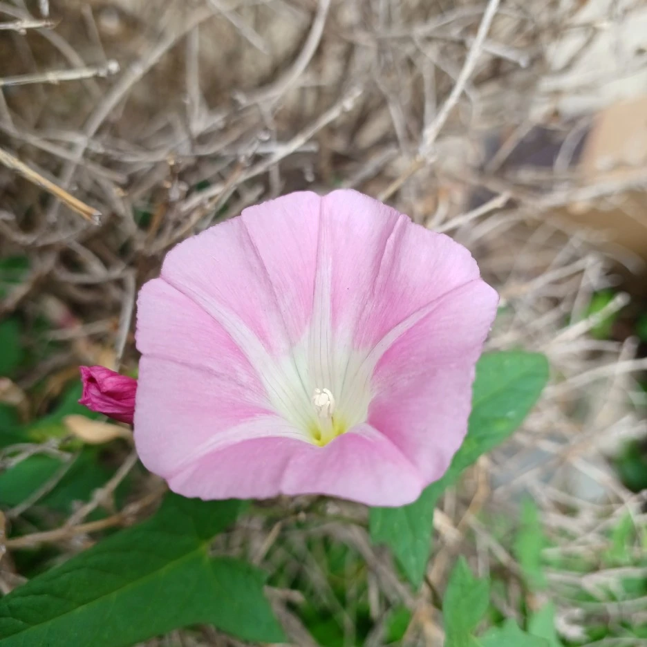 20220530_111042.jpg?type=w1