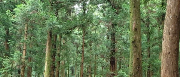 %EC%9B%B9_%EC%BA%A1%EC%B2%98_26-9-2022_7107_blog.naver.com.jpeg?type=w1