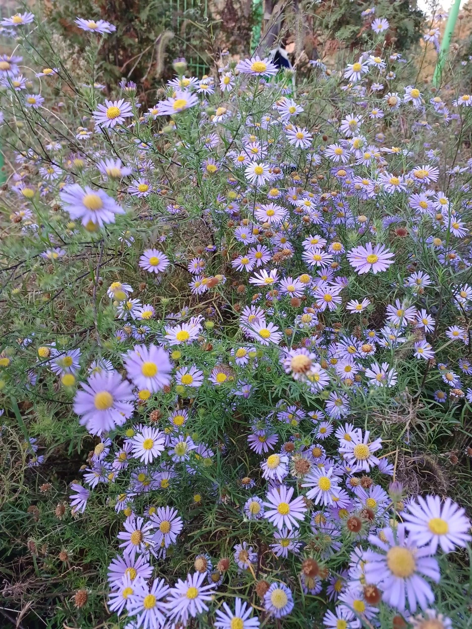 20221023_171654.jpg?type=w1