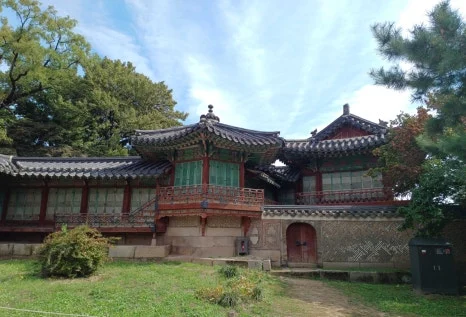 20241009_121139.jpg?type=w466