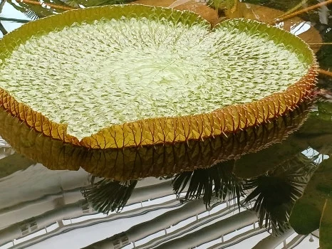 20240921_125808.jpg?type=w466