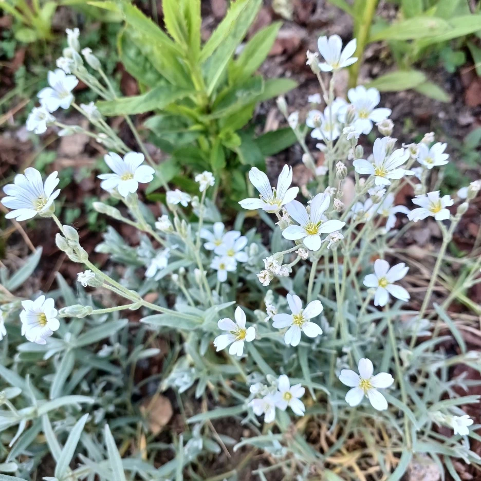 20220527_183524.jpg?type=w1