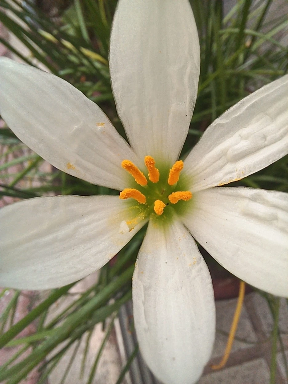 20220920_125245.jpg?type=w1