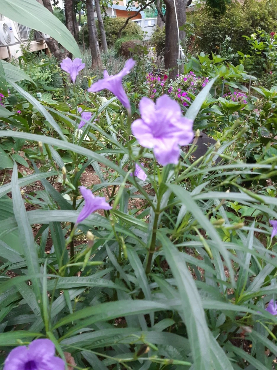 20200831_061802.jpg?type=w1