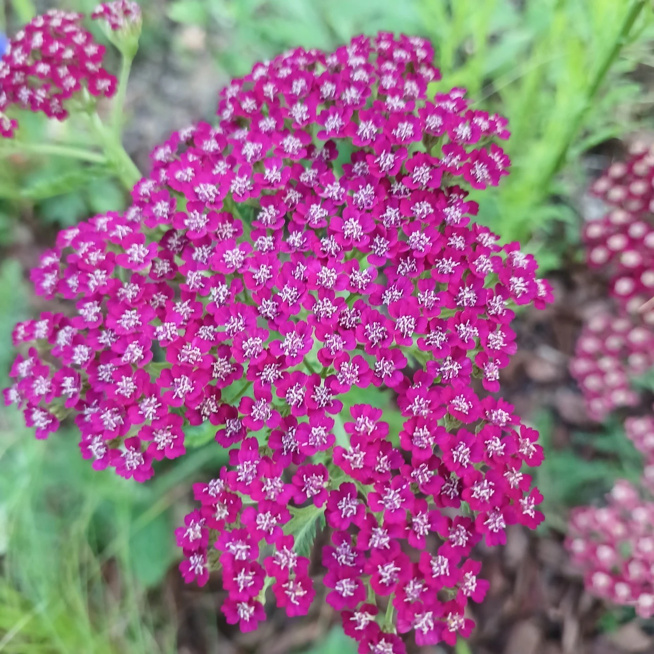 4_aa7Ud018svc12rzgbmb5e0qz_818kqs.jpg?type=e1920_std