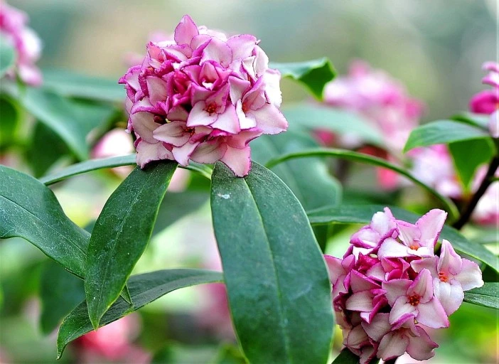 %EB%8B%A4%EC%9A%B4%EB%A1%9C%EB%93%9C.jpg?type=w1