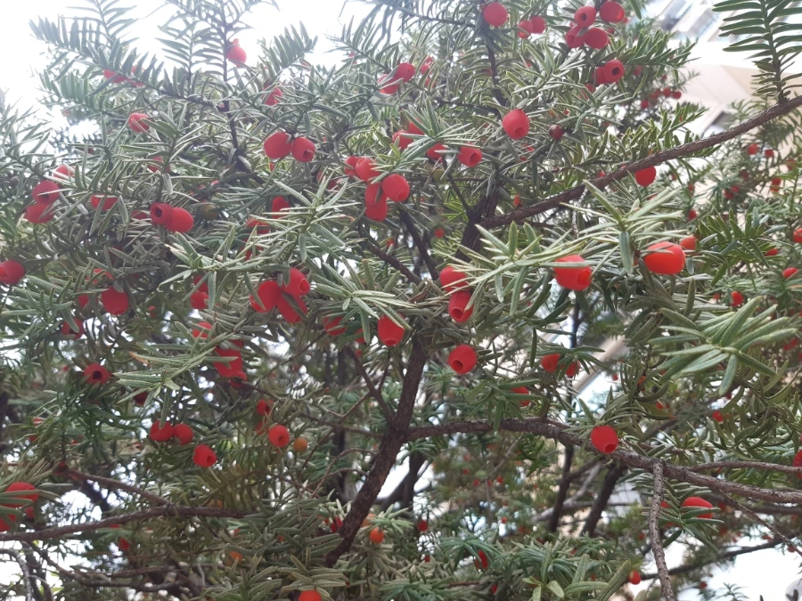 20211010%EF%BC%BF095544.jpg?type=w1